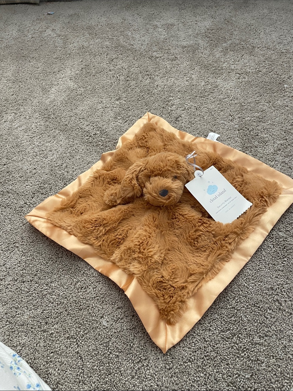 Cloud Island Security Blanket